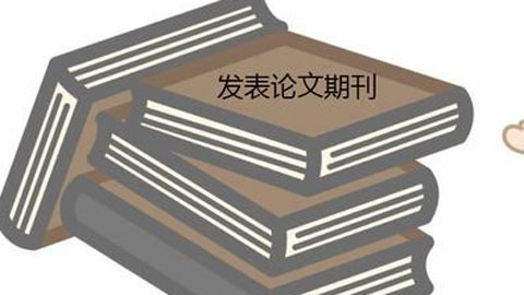 核心论文发表